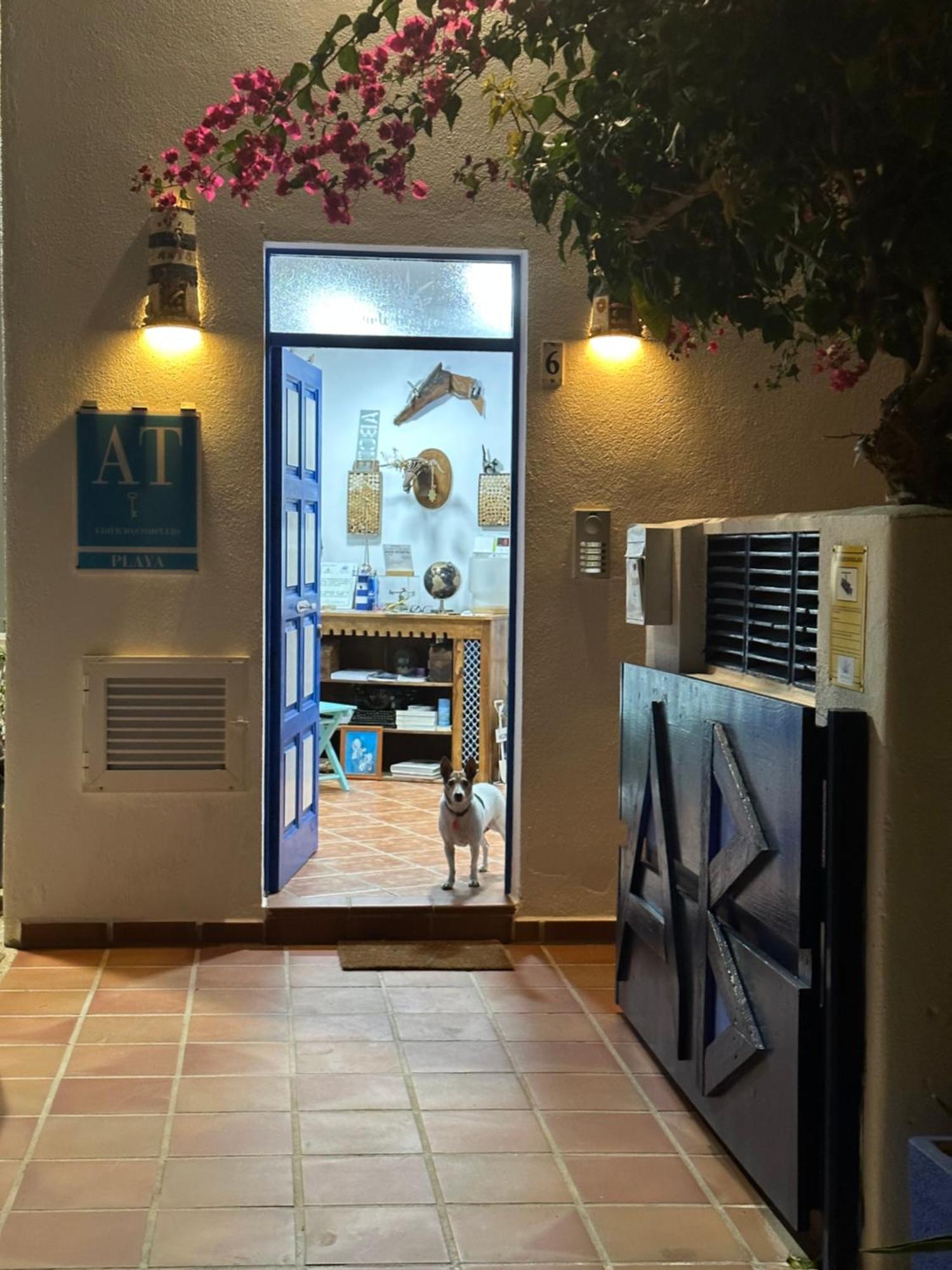 Arto Blanco Daire Agua Amarga  Dış mekan fotoğraf