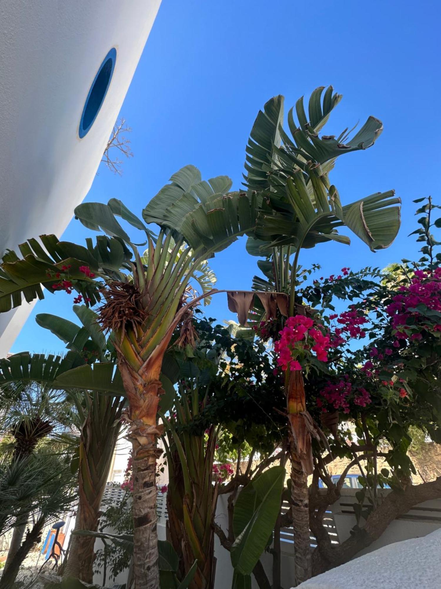Arto Blanco Daire Agua Amarga  Dış mekan fotoğraf