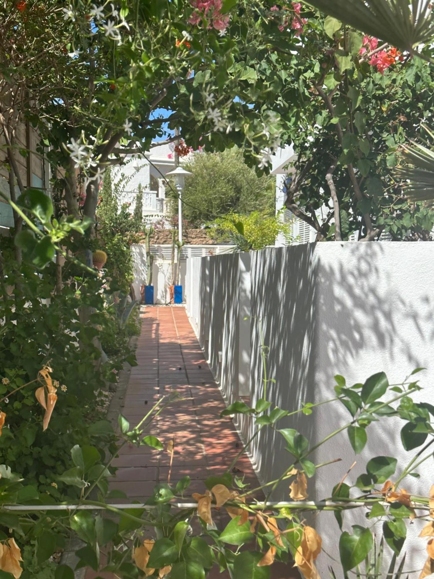 Arto Blanco Daire Agua Amarga  Dış mekan fotoğraf