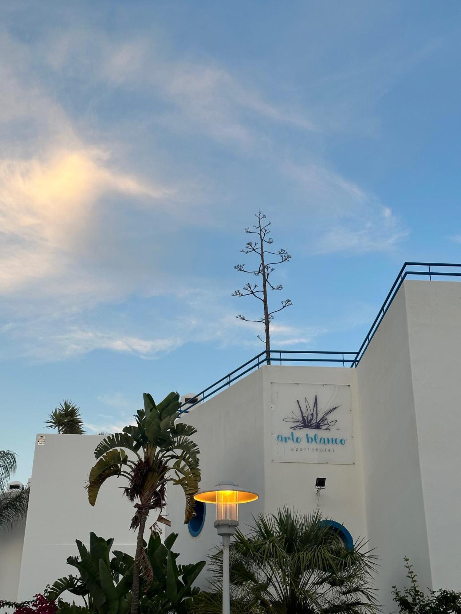 Arto Blanco Daire Agua Amarga  Dış mekan fotoğraf