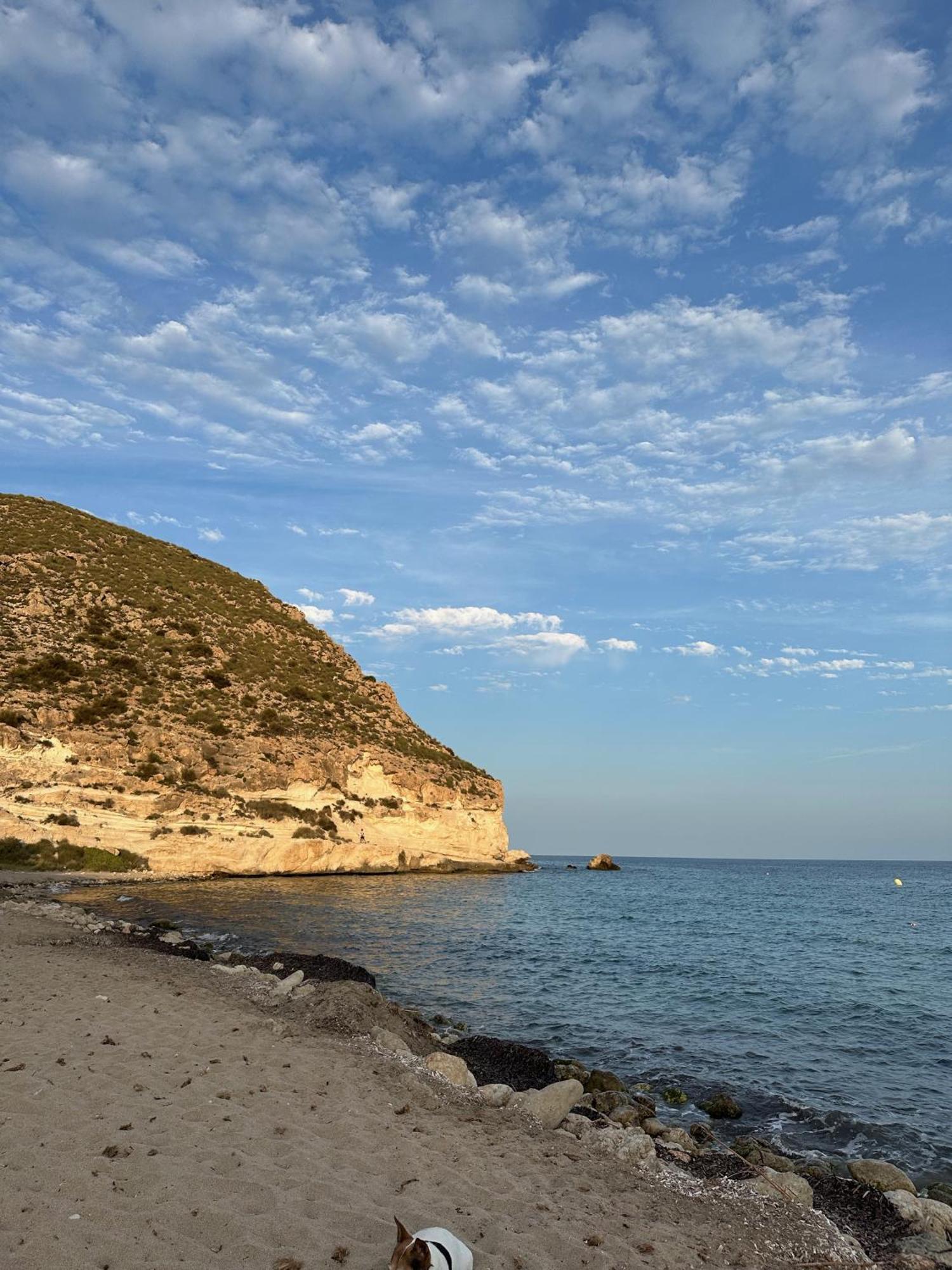 Arto Blanco Daire Agua Amarga  Dış mekan fotoğraf