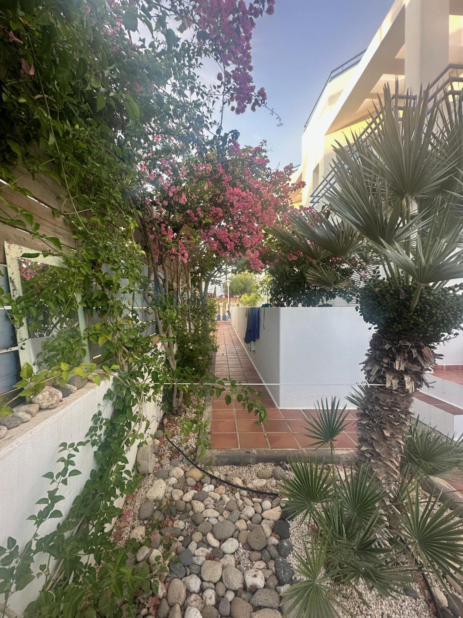 Arto Blanco Daire Agua Amarga  Dış mekan fotoğraf